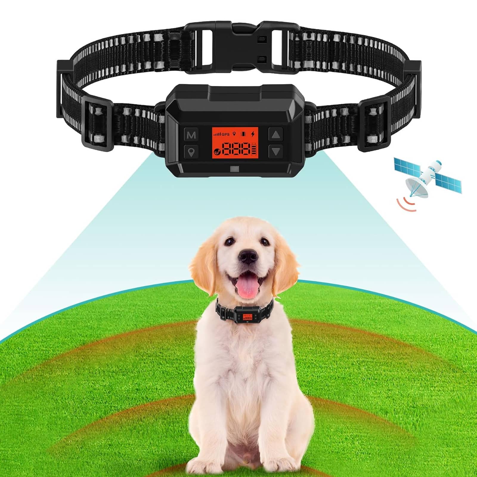 Best 5 Dog GPS Collars of 2026: Keep Your Beloved Canine Safe and ...